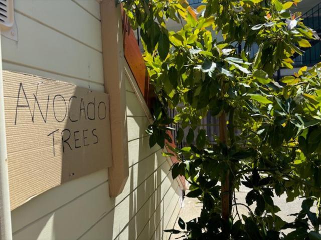 3br Unique Victorian Penthouse With Deck And Outdoor Furniture, Ac, 3 Blocks To & Shopping Center & 2 Free Parking Spaces Alameda
